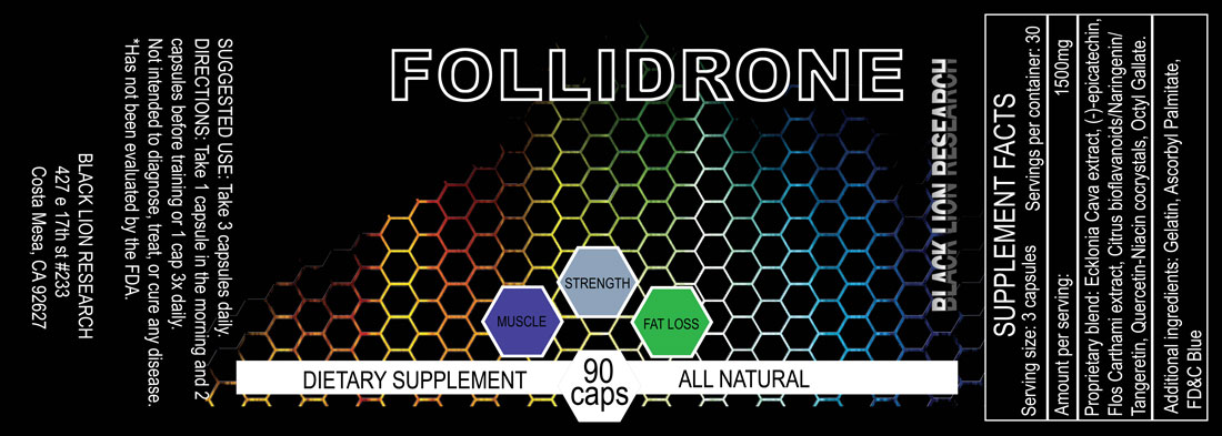 Follidrone2-5wed2.jpg