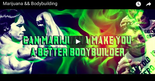 Marijuana & Bodybuilding