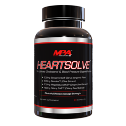 HeartSolve_Rendering_1_81117_250x.png