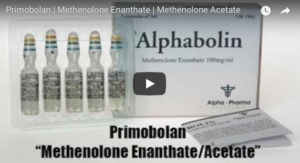 Primobolan Methenolone Enanthate | Acetate
