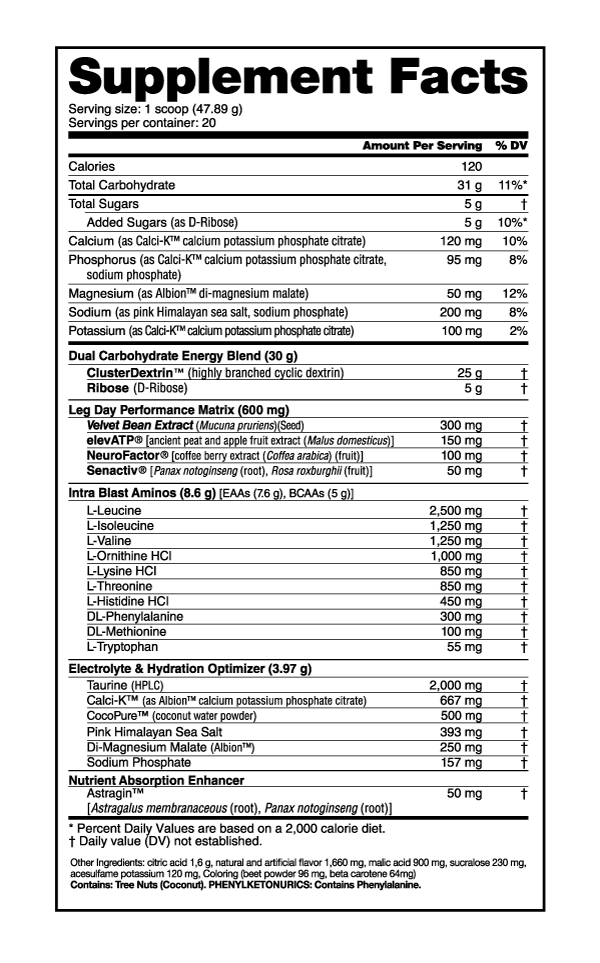 NutraBio Leg Day - Image 2